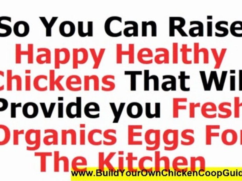 "small backyard chicken coop":free chicken coop plan