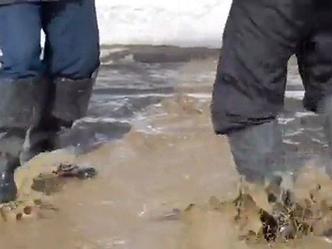 Игорь Растеряев. Весна.