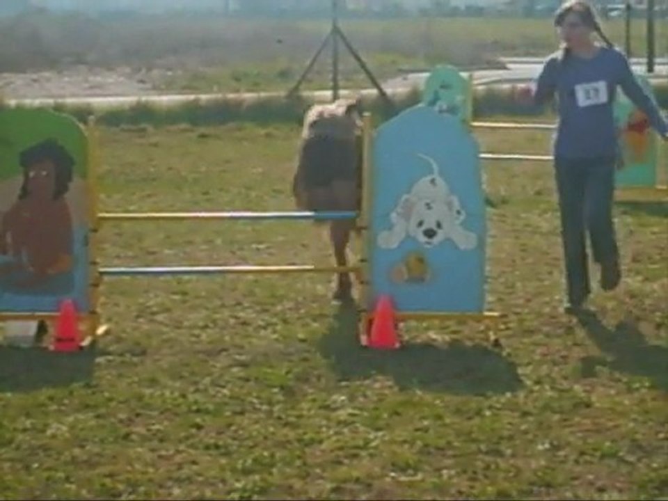 Csali Nolwenn 1er degrés