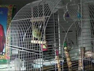 Два  месяца  дружбы