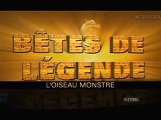 Bêtes de Légende, L'oiseau monstre - 1 de 3