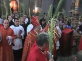 Palm Sunday in the Holy Land
