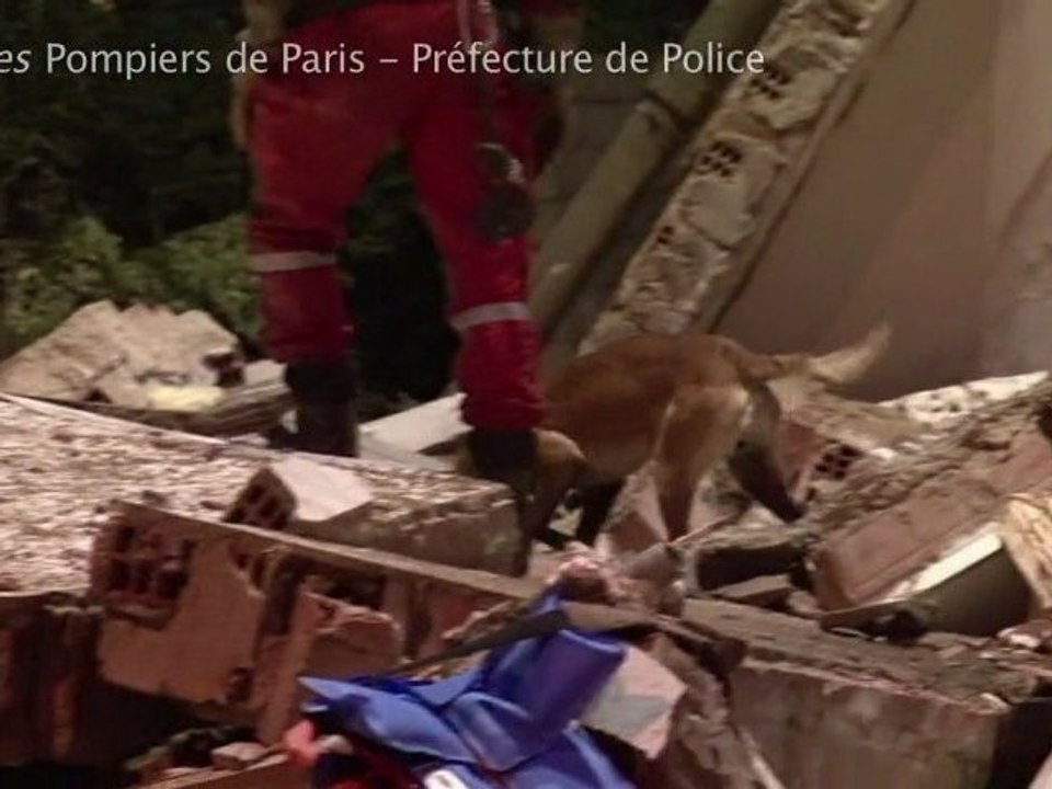 Chiens pompiers, chiens sauveurs