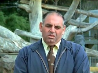 Koko, der sprechende Gorilla 7/8