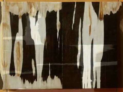 Petrified Wood Slabs