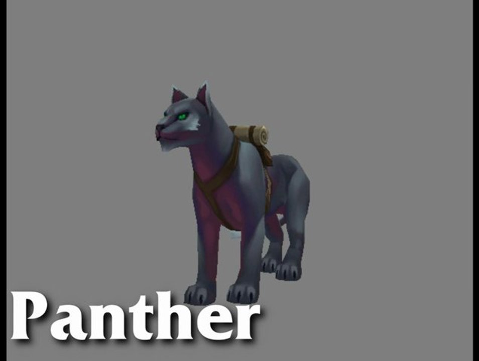 Torchlight II - Pets feature
