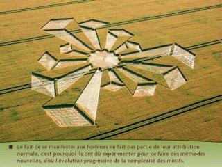 Origine et sens des agroglyphes (Daniel HARRAN)