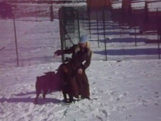 les rotts en famille