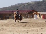 1er Concours d'équitation