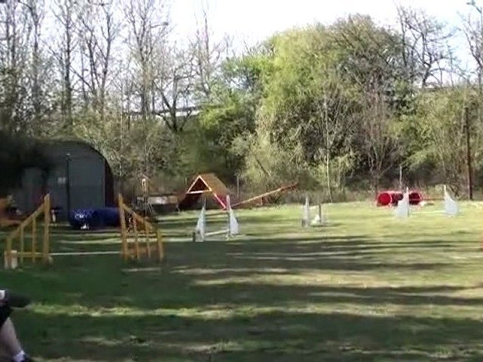 CCDPL Dawn Jumping