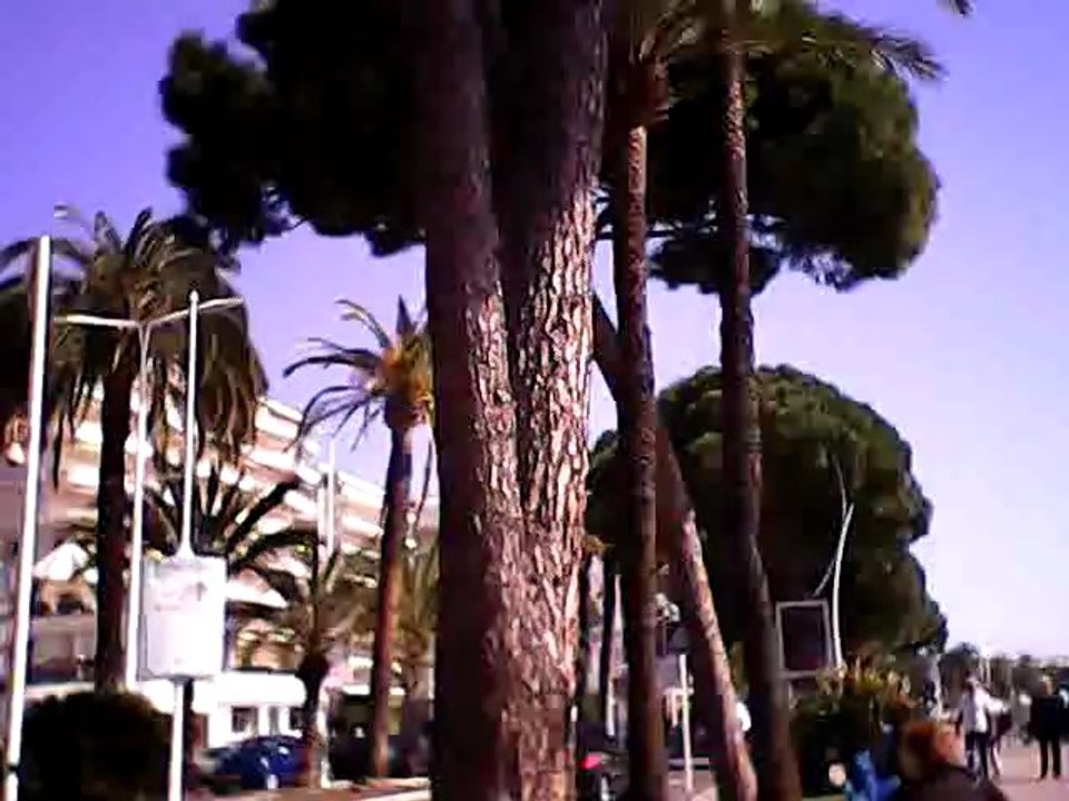 Cannes hotel martinez