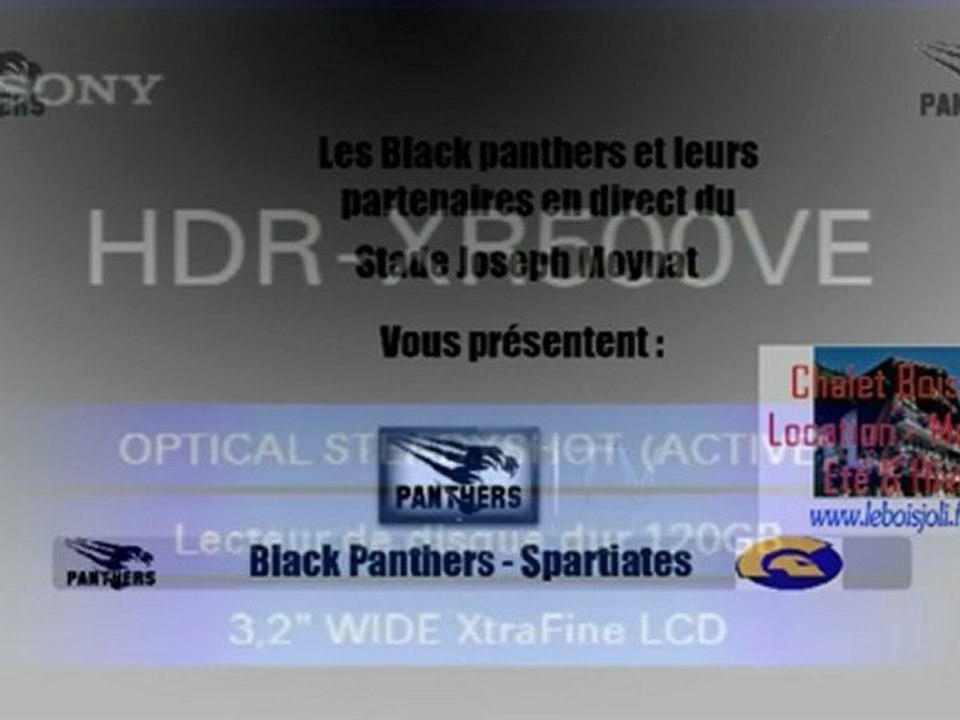 Black Panthers - Spartiates