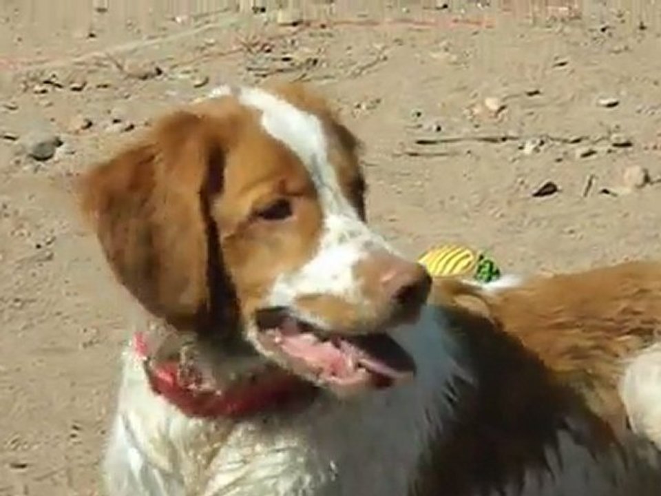 31MARS2012AGAYE04