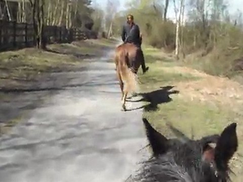 balade a cru en licol ravel