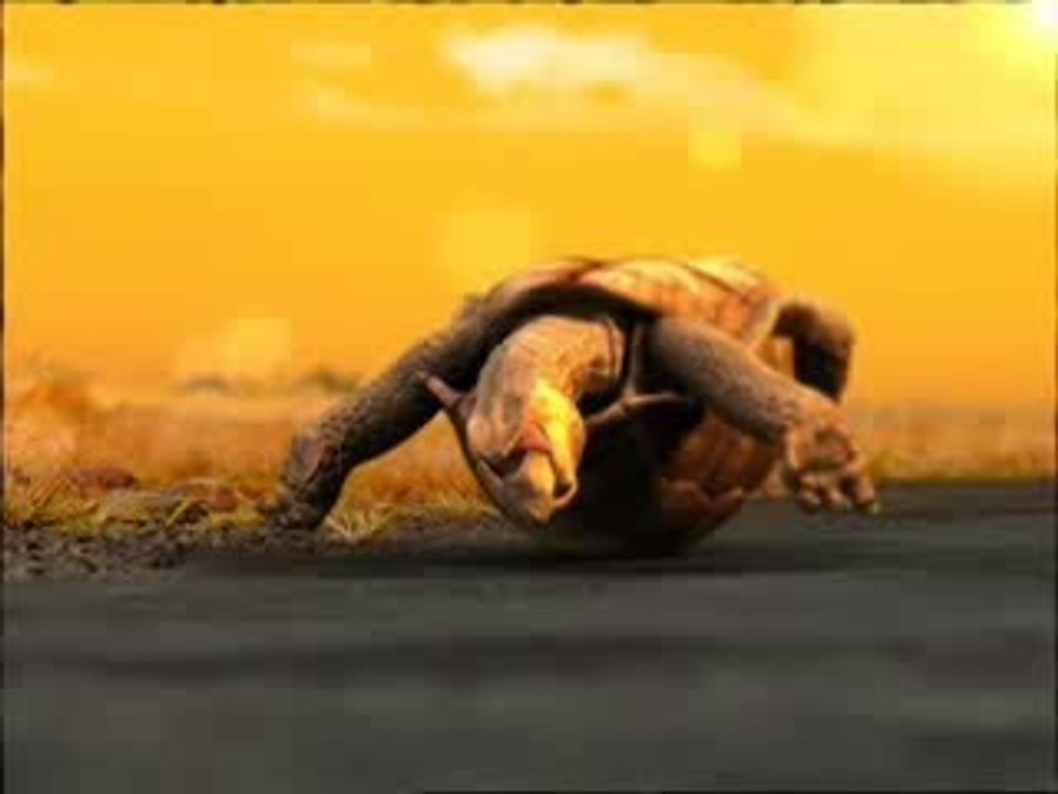 the best turtle 2