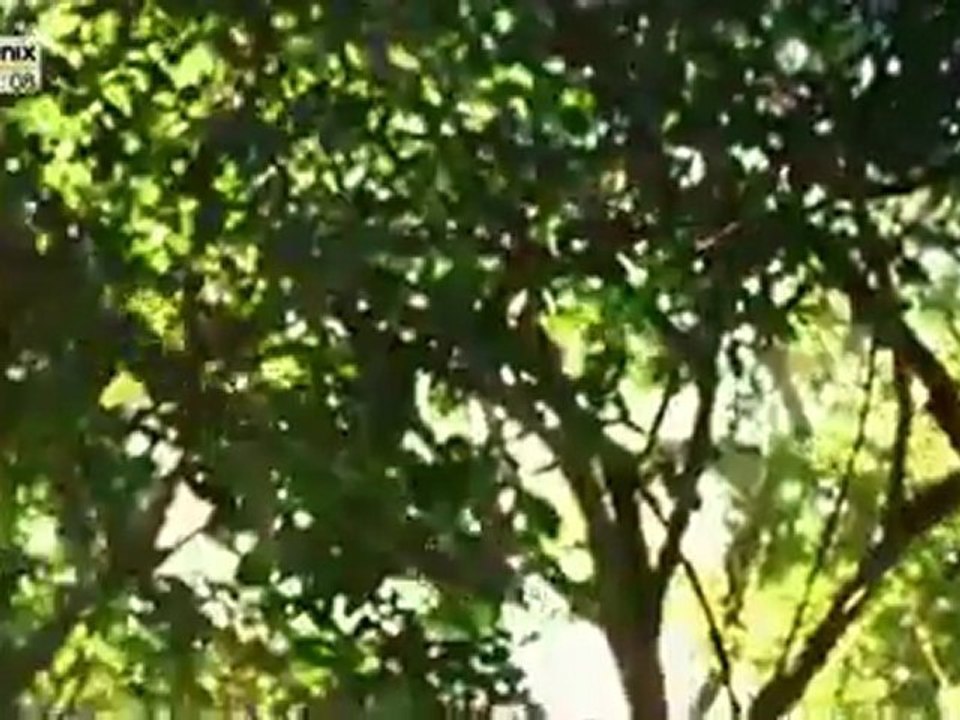 Homo Sapiens 1 - Teil 4 von 4.flv