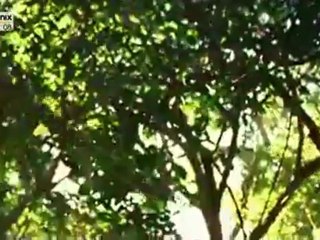 Homo Sapiens 1 - Teil 4 von 4.flv