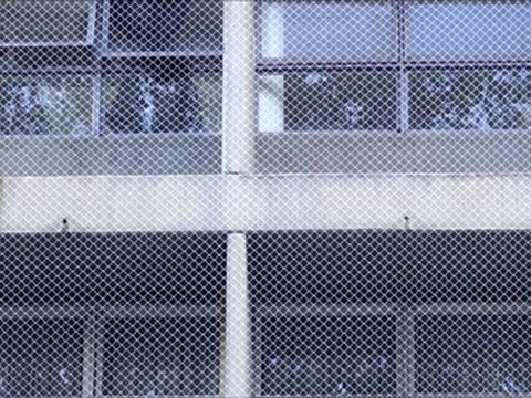 Control de plaga de palomas con redes anti aves