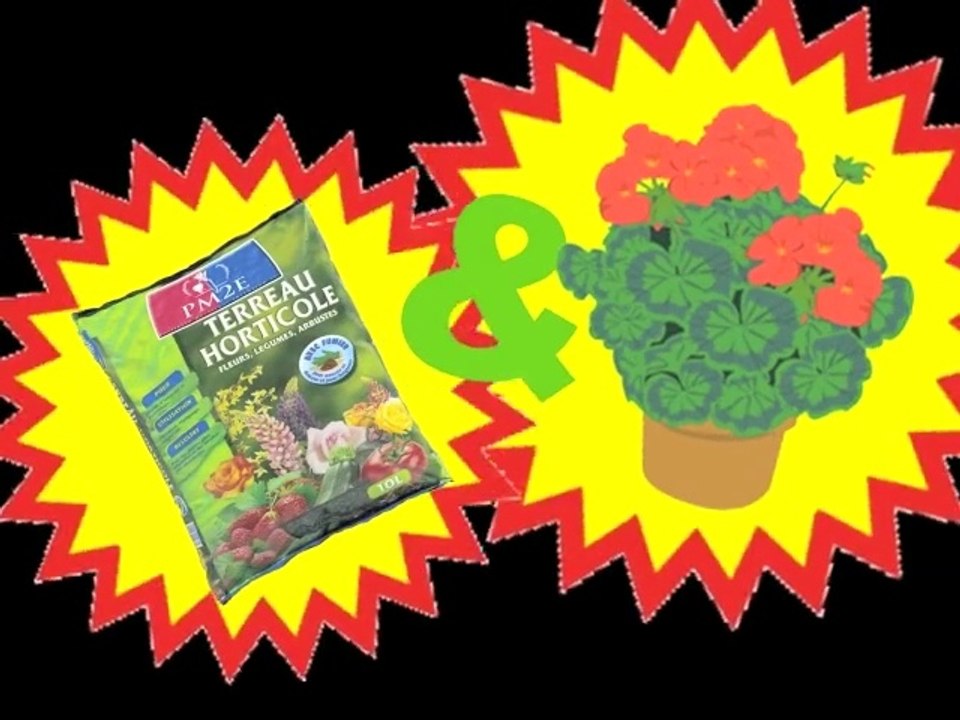 #5 Festival International du Film TROUC - Le Teaser 2012