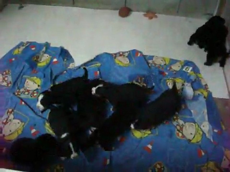 bébés 1/04/2012