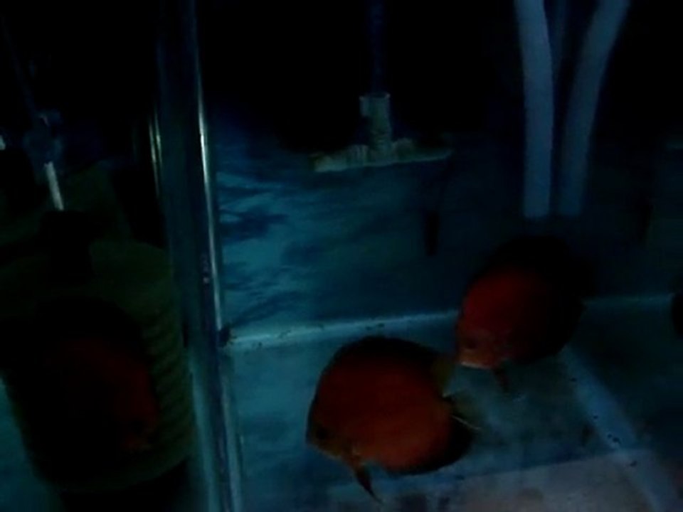 MOV00112