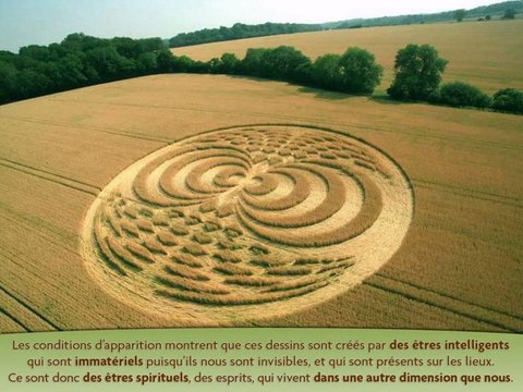 Deux catégories d'agroglyphes authentiques (Daniel HARRAN)