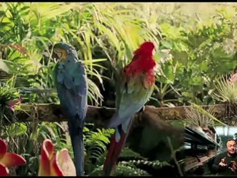 La séquence ciné: Sur la piste du Marsupilami