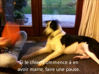 Apprendre: Croise les pattes