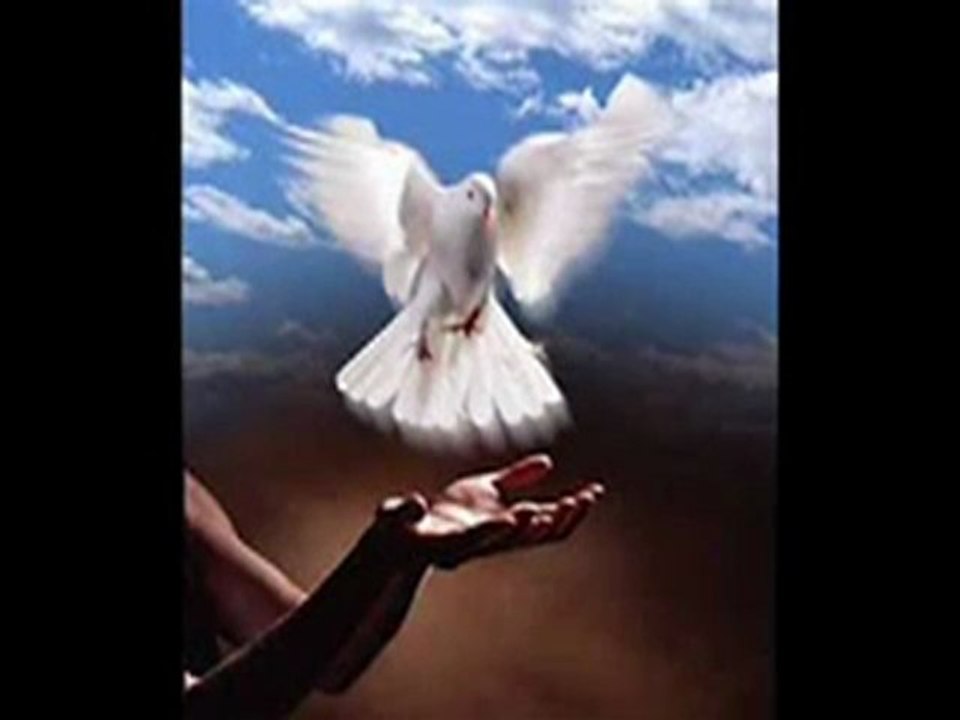 EMEL SAYIN YORGOYA MEKTUP