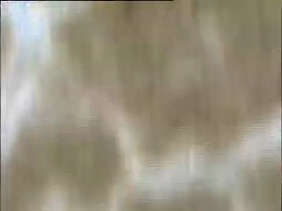 Essais d'élimination du filament 021N au chlorure ferrique à Noisy-le-Grand : examen de boues traitées depuis quelques jours (deuxième jour)