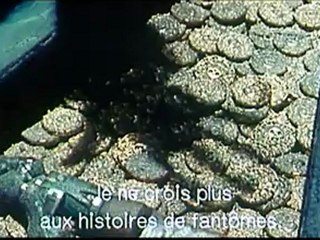 PIRATES DES CARAIBES, LA MALEDICTION DU BLACK PEARL - Bande-annonce VO