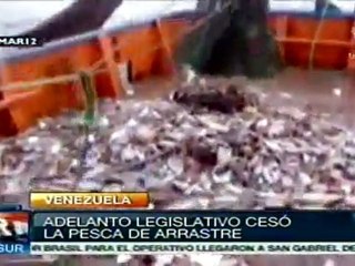 Adelanto legislativo en Venezuela cesó la pesca de arrastre