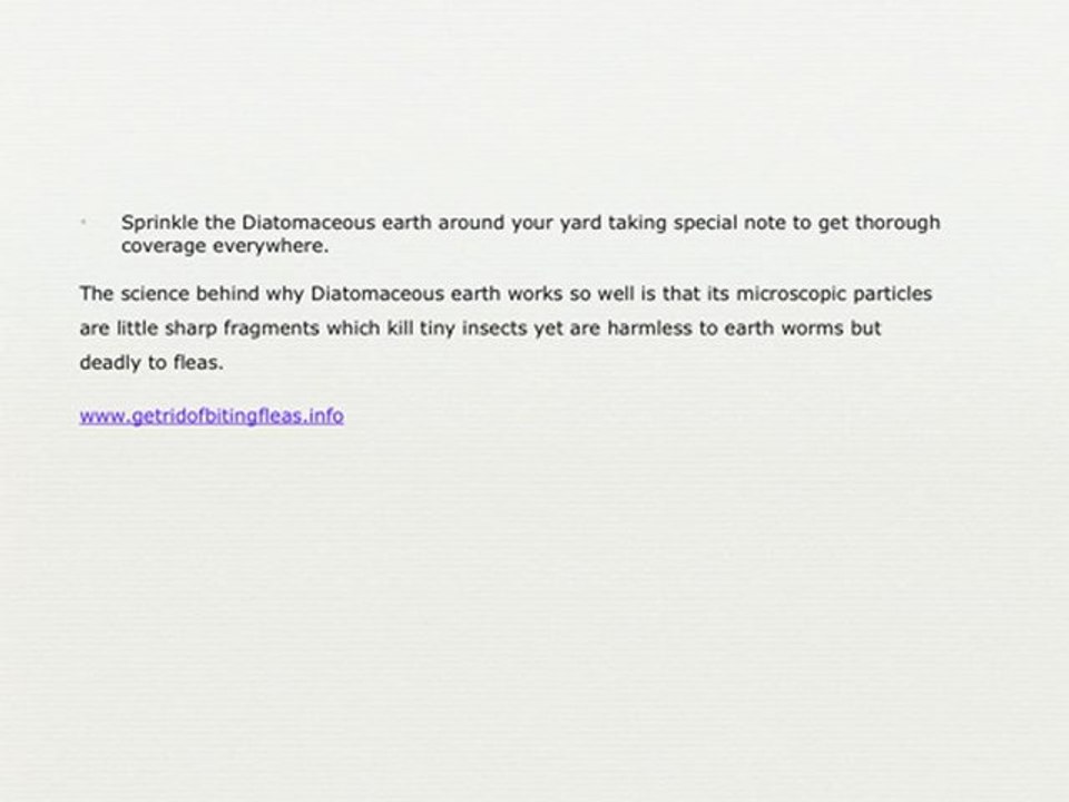 Discover How To Get Rid Of Fleas From Your Yard