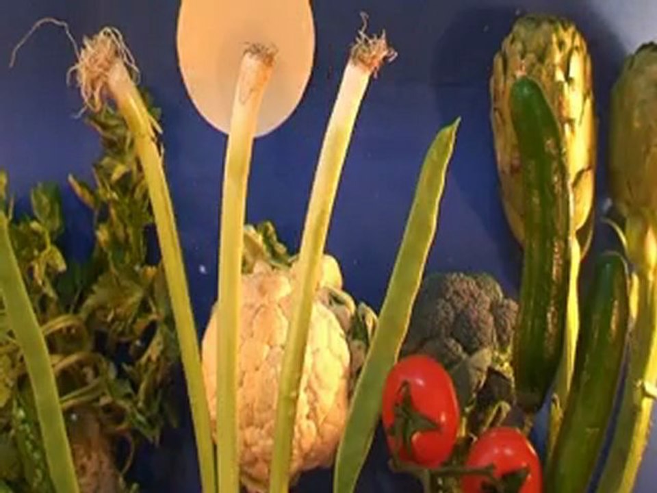 Tous les légumes