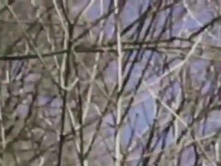 UFO .Bugarach, France .01.04.2012