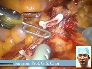 Demo Clinical Virtual University