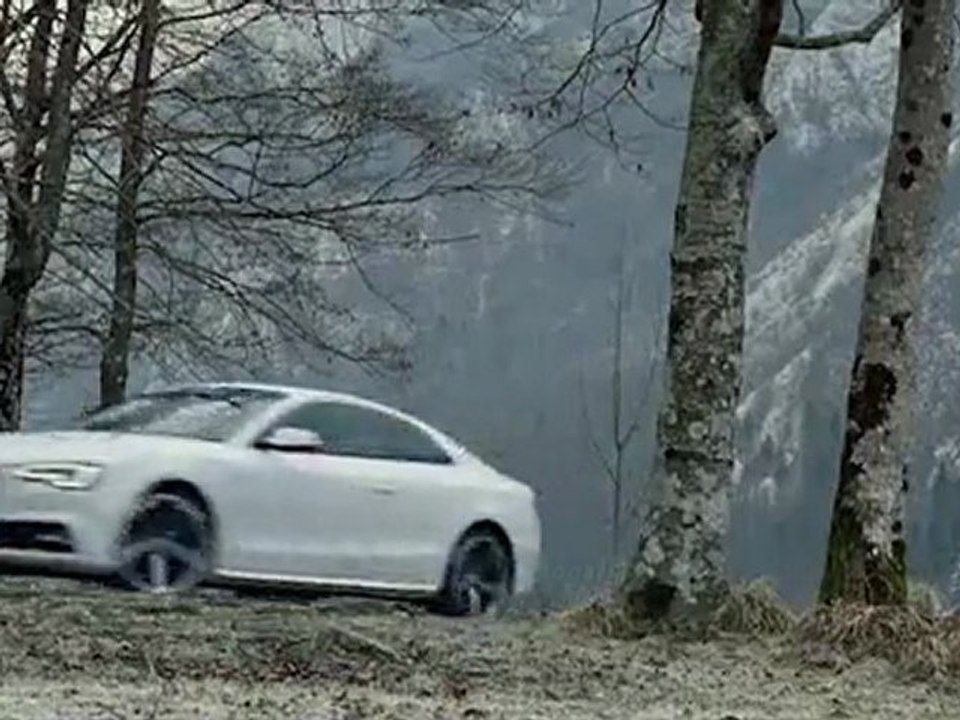 Audi: The Swan