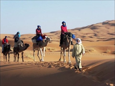 Morocco Expeditions - Sahara Desert Camp- Dunes, Camel Ride- Luxury 4x4 Tours Morocco - モロッコサハラ砂漠の砂丘ツアー