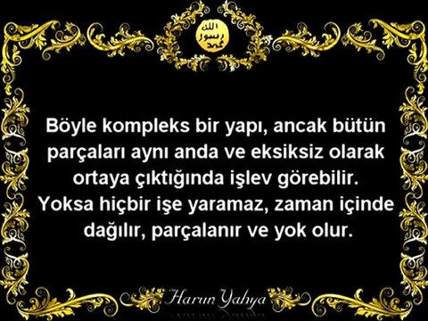 EVRİM TEORİSİ NEDEN GEÇERSİZ - 1