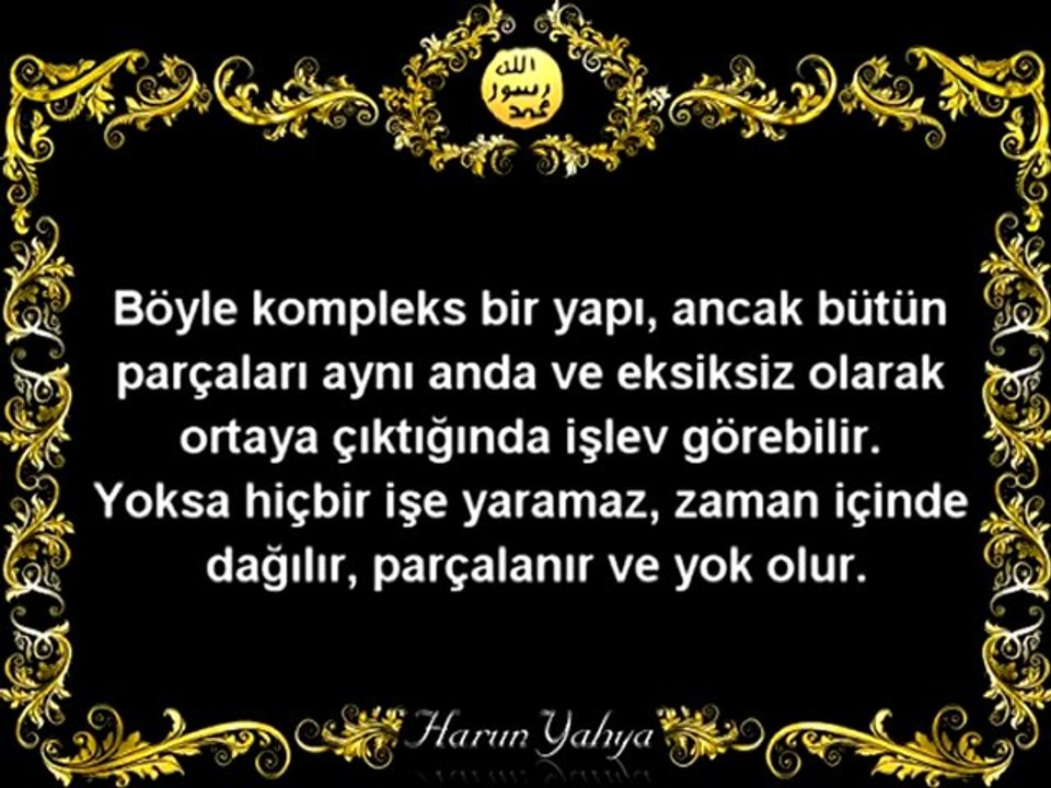 EVRİM TEORİSİ NEDEN GEÇERSİZ - 1