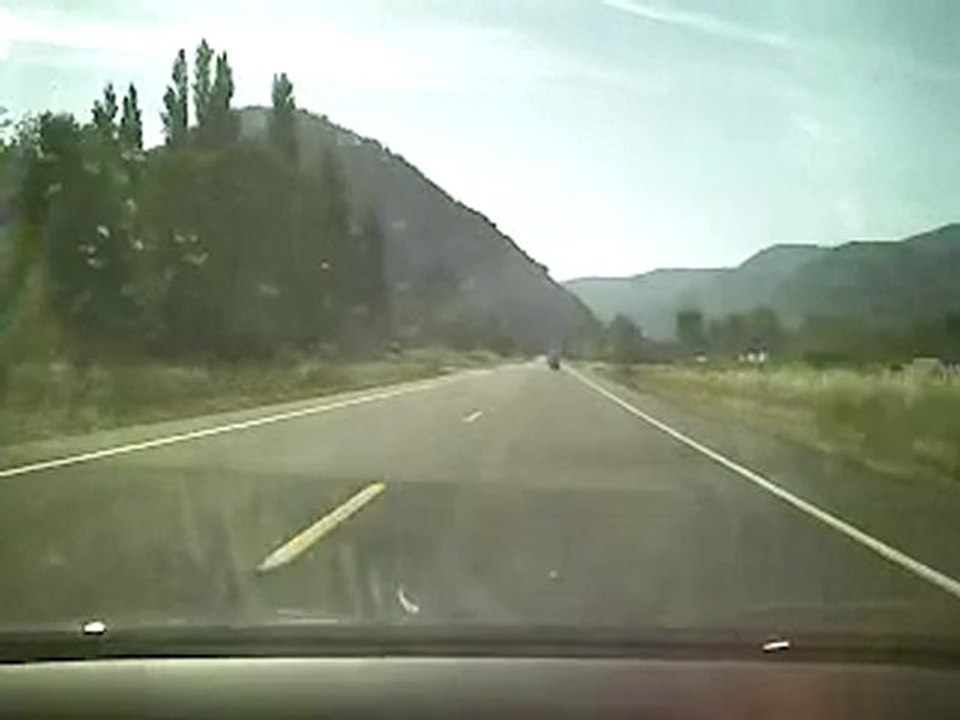 mountain goldwings