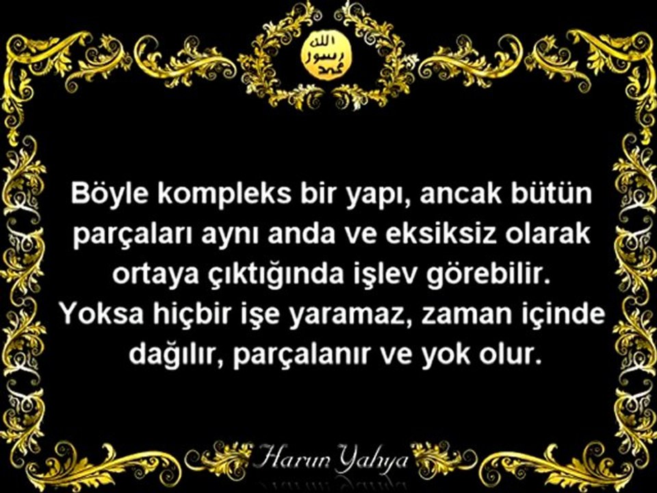 EVRİM TEORİSİ NEDEN GEÇERSİZ - 1