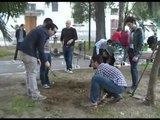 Marcianise - SEL - Guerrilla Gardening  - Piantiamo bene comune (01.04.12)