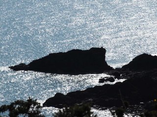 Du gris au bleu