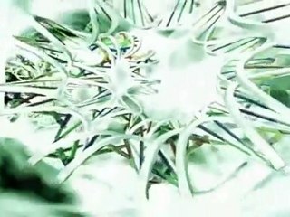 ru teaser