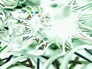 Científicos israelíes descubren gen que aumenta la longevidad