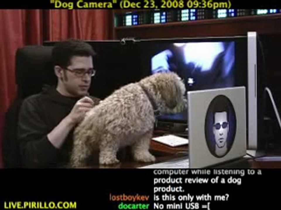 Are You Looking to Buy a Pet Collar Cam?