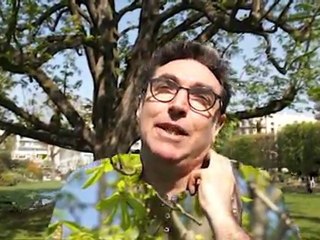 L'homme qui aimait les arbres