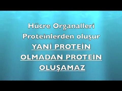 EVRİM TEORİSİ NEDEN GEÇERSİZ - 1