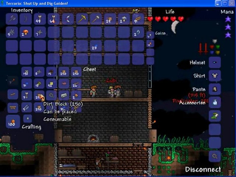 delire multijoueurs terraria 01